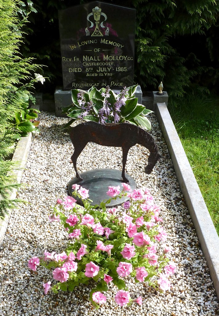 80th anniversary of Niall's birth.